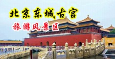 操逼抠逼中国北京-东城古宫旅游风景区